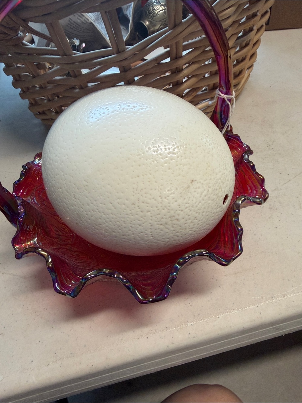 Large Natural Ostrich Egg - Cream White Decorative Egg